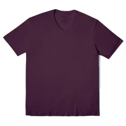 Camisetas>Basico.com Camiseta Algodão Premium Gola V Masculina | Everyday Collection - Beri