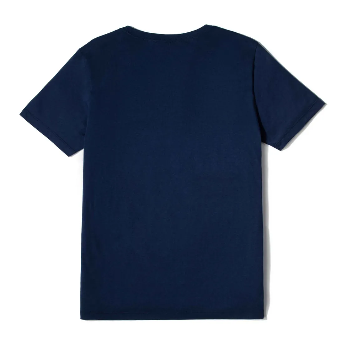 Camisetas>Basico.com Camiseta Algodão Premium Gola U Feminina | Everyday Collection - Azul