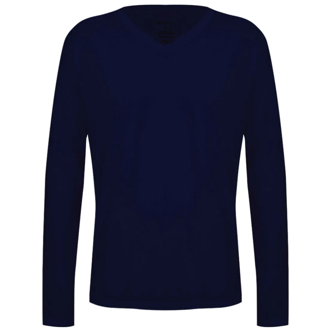 Algodão Pima | Camisetas>Basico.com Camiseta Pima Gola V Manga Longa Masculina | Life Collection - Azul Ma